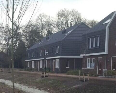 Zakelijk tuinaanleg Haren-noord